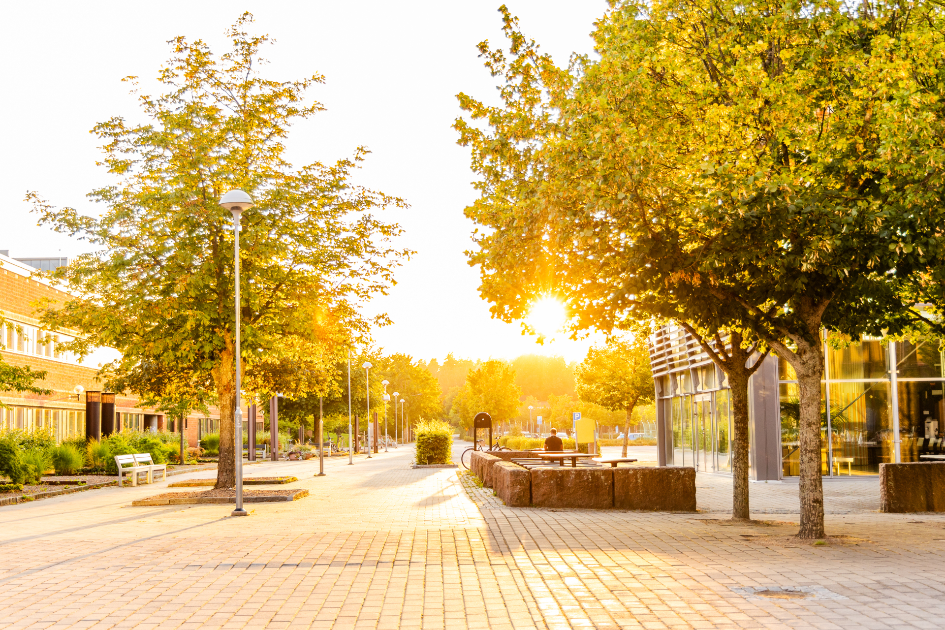 Campus Valla 2024-7671 Campus Norrköping